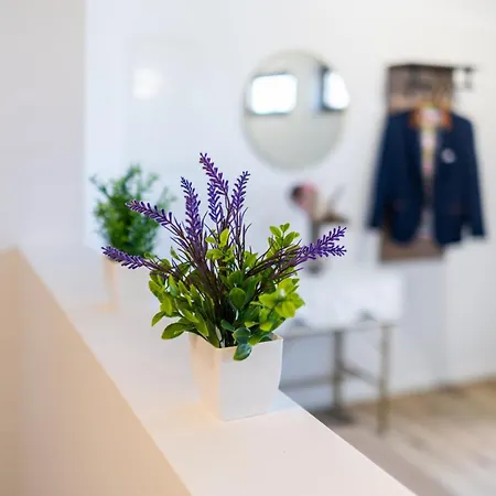 Aurum - An Der Talsperre Malter - Bright Collection Appartement *